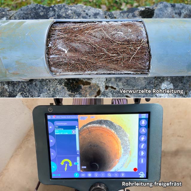 Wurzelfräsen Klein Vollbüttel